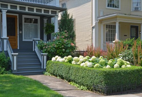 2 Front yard border between houses_Susan Martin Photo Courtesy of Susan Martin