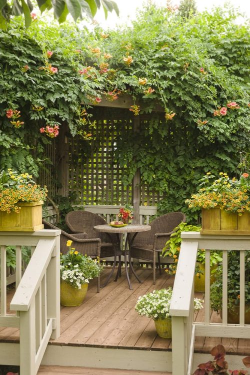 2 Small deck with vine covering_PW 2 Small deck with vine covering_PW