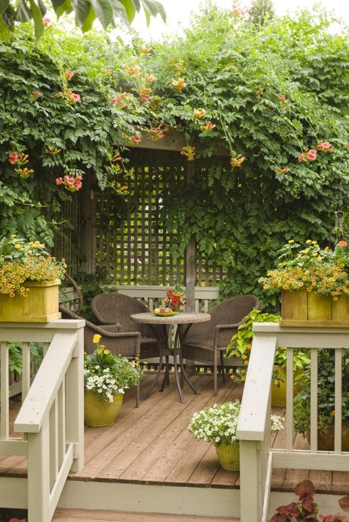 2 Small deck with vine covering_PW