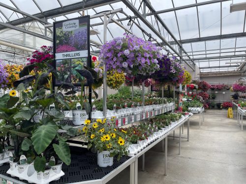 Garden Center Garden Center