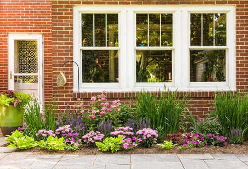 3 Small border garden for pollinators_Proven Winners Photo Courtesy of Prove Winners