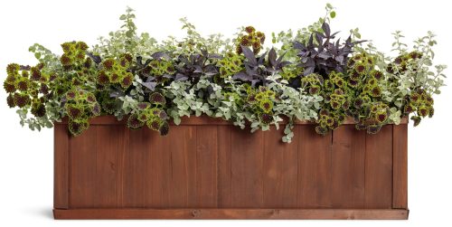 Window Box Gardening Full Sun to Part Shade