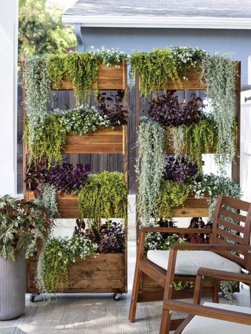 5 Balcony or porch garden with living privacy screen_PW 5 Balcony or porch garden with living privacy screen_PW