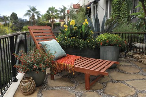 5 Hot sunny spaces_Proven Winners 5 Hot sunny spaces
