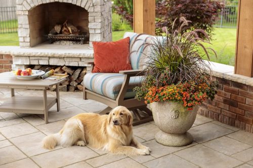 5 Outdoor fireplace with dog_PW