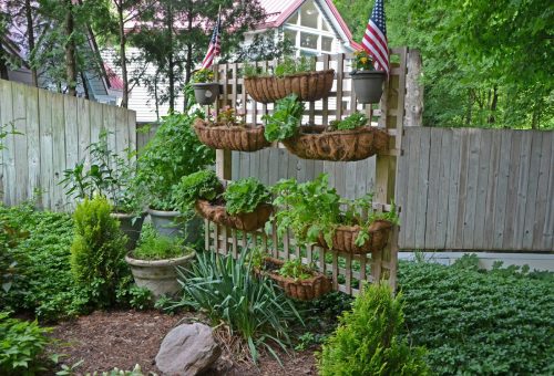 5 Trellised vegetable-herb rack_Susan Martin Photo Courtesy of Susan Martin