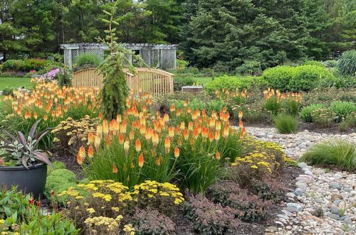 6 Drought tolerant landscape_HGGC 6 Drought tolerant landscape_HGGC