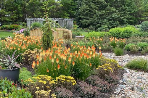 6 Drought tolerant landscape_HGGC