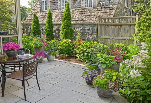 7 Small Patio surround_Proven Winners Photo Courtesy of Prove Winners