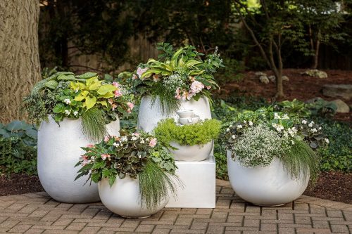 9 Perennials in containers_Tranquility Shade Garden 04 copy 10 Plant Combination Ideas for Container Gardens Blog Post Header Image