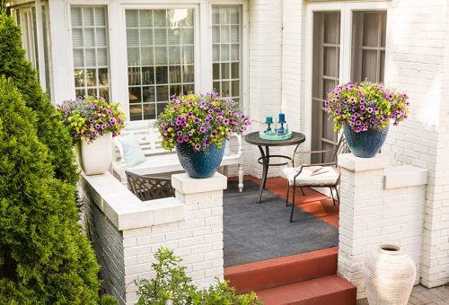9 Small patio-planters off the ground_Proven Winners Photo Courtesy of Prove Winners