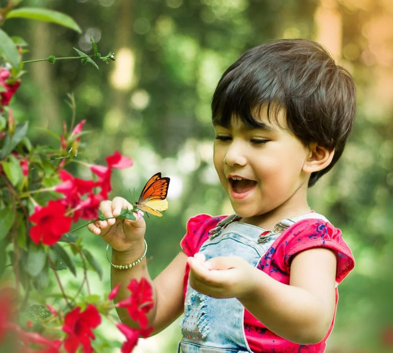 Child with butterfly_stock photo