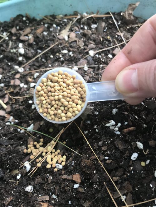 Everything You Need to Know About Fertilizing Your Plants Garden