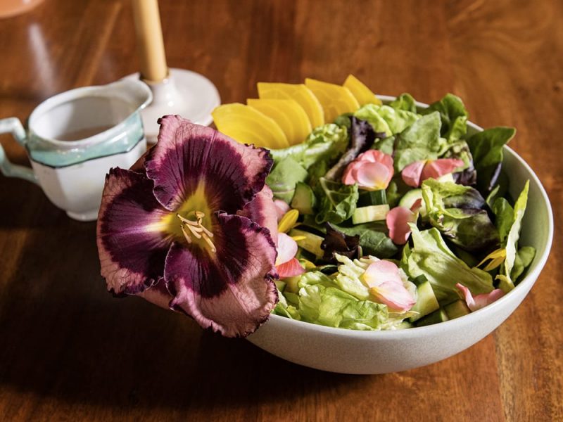 Daylily on salad_Proven Winners Daylily on salad_Proven Winners