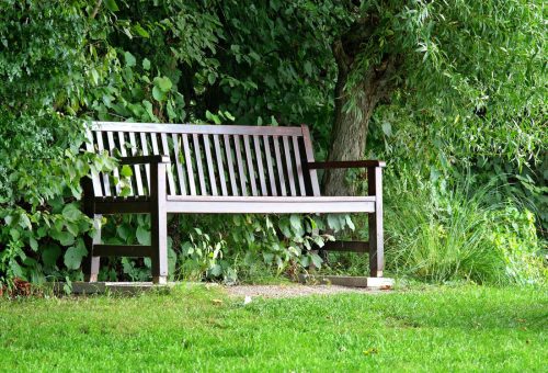 Garden bench stock photo