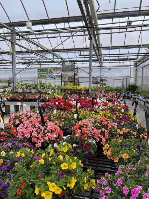 Garden Center Greenhouse Photo Courtesy of Garden Crossings