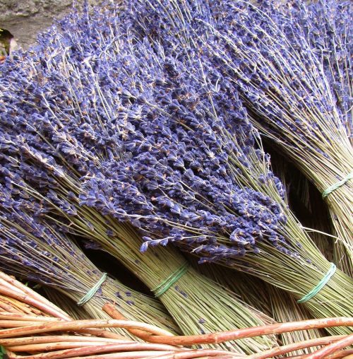 Lavender Bundles