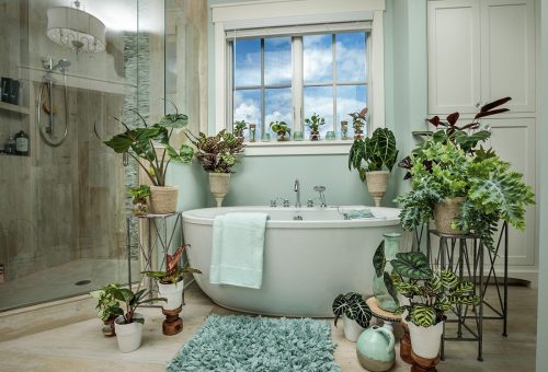 Leafjoy SpaScene collection_Proven Winners Leafjoy SpaScene collection_Proven Winners