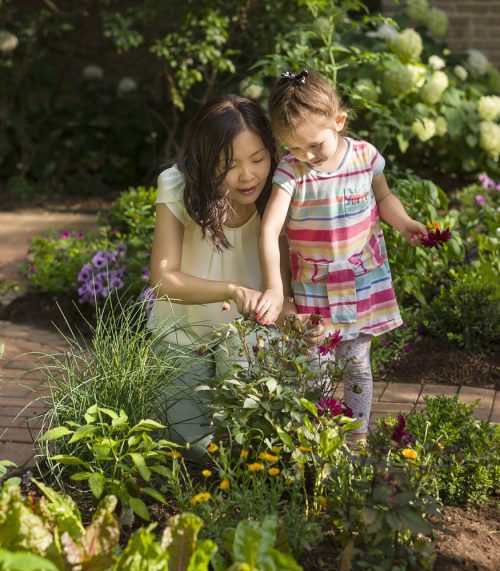 Mother and daughter in the garden