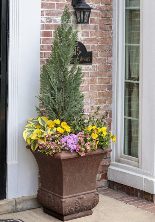 Spring porch pot closeup_Proven Winners Spring porch pot closeup_Proven Winners