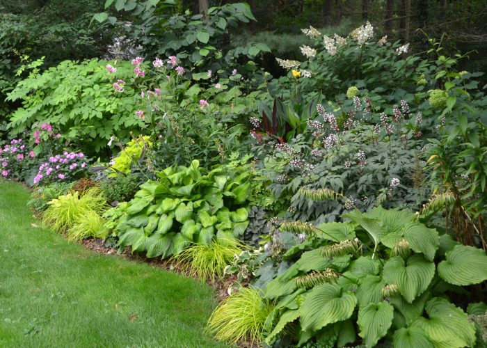 early fall garden