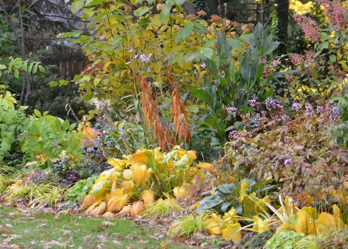 late fall garden