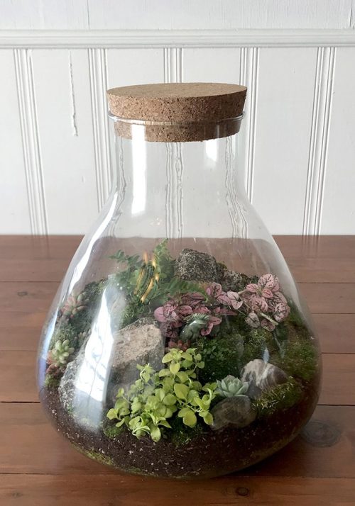 Terrarium complete_Proven Winners