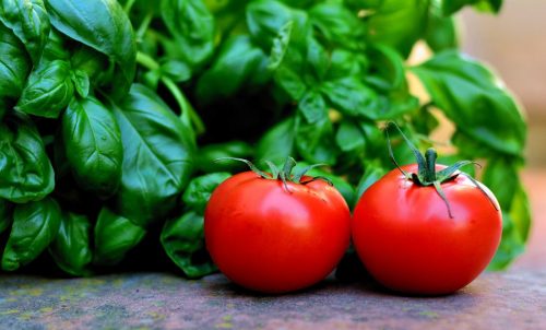 Tomatoes-Basil stock photo Tomatoes Basil