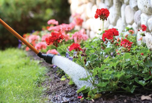 Watering landscape_Dramm pic Watering landscape_Dramm pic