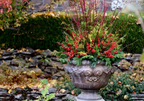 Winter arrangement from Garden Answer_Proven Winners Winter arrangement from Garden Answer_Proven Winners