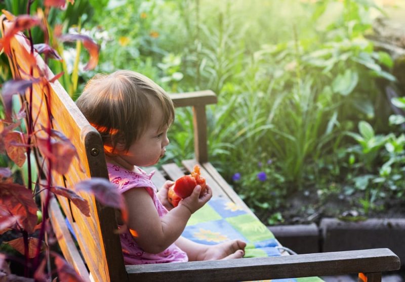 child eating tomato_stock photo