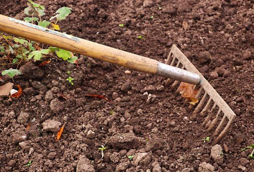 garden soil w rake_stock photo