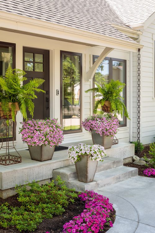 trailing_supertunia_entrance_02_0 trailing_supertunia_entrance_02_0