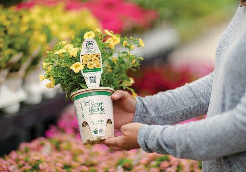 woman holding eco pot w Lemon Slice_Proven Winners woman holding eco pot w Lemon Slice_Proven Winners