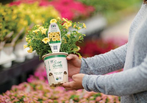 woman holding eco pot w Lemon Slice_Proven Winners